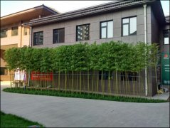 建邦·向陽(yáng)苑小區景觀(guān)綠化