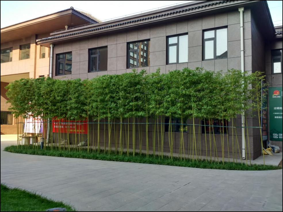 建邦·向陽(yáng)苑小區景觀(guān)綠化