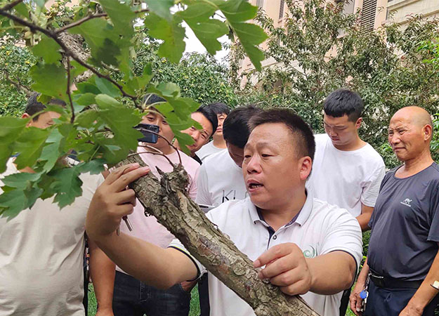 琳海植保孫老師現場(chǎng)指導工作